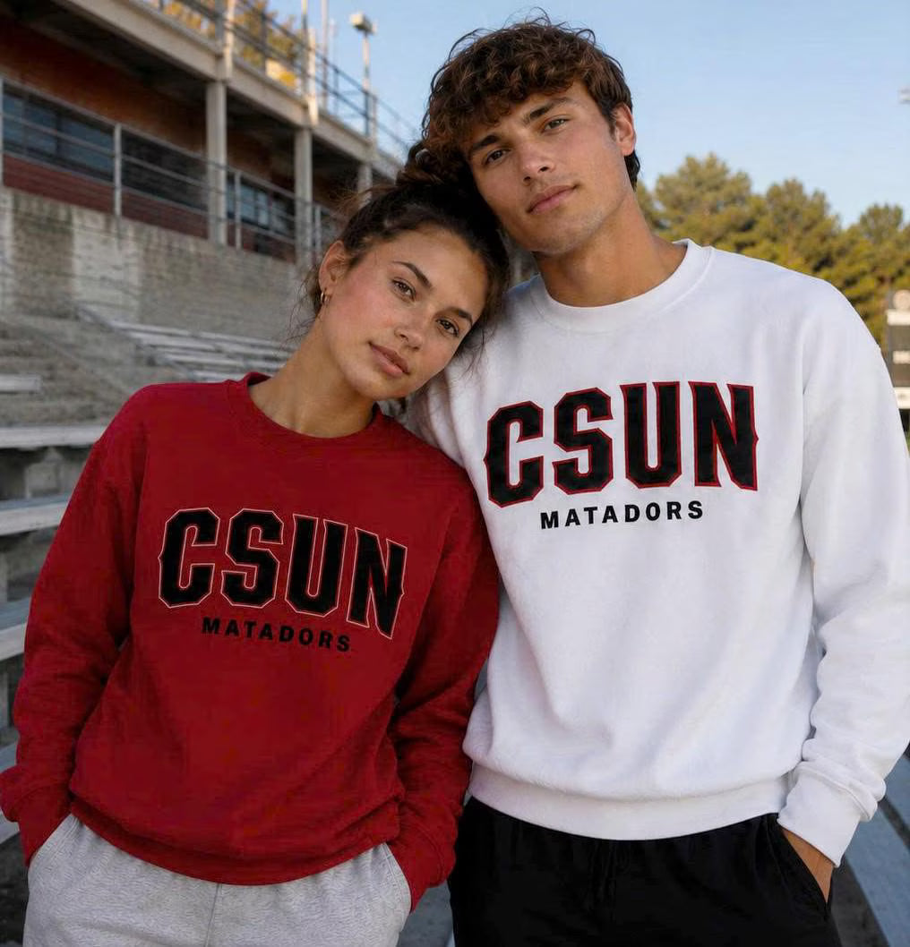 Stadium Outfit Sweatshirt, Custom Team Color Crewneck, School Spirit Applique Pullover, Tailgate Game Day Gift