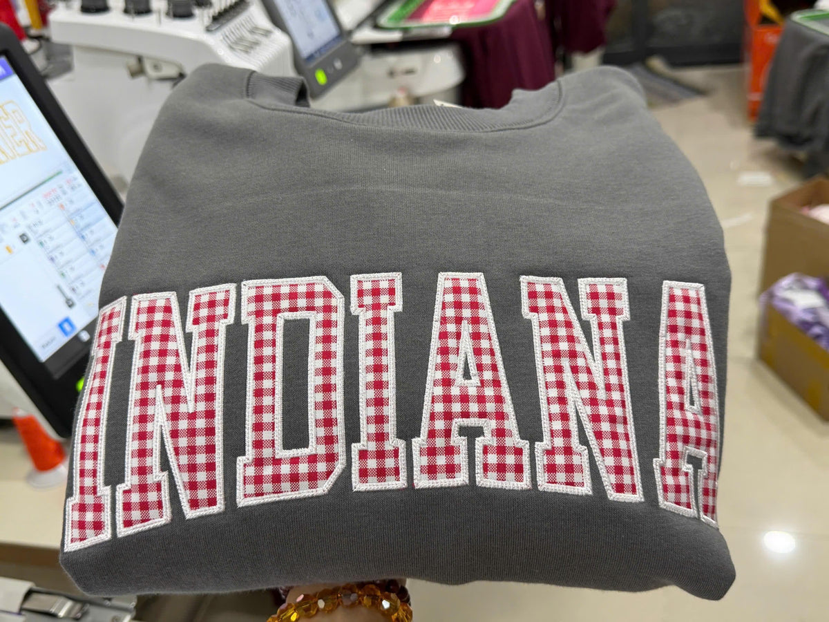 Gingham Applique Sweatshirt, Custom Varsity Embroidered Crewneck, Personalized School Color Campus Pullover, Student Gift