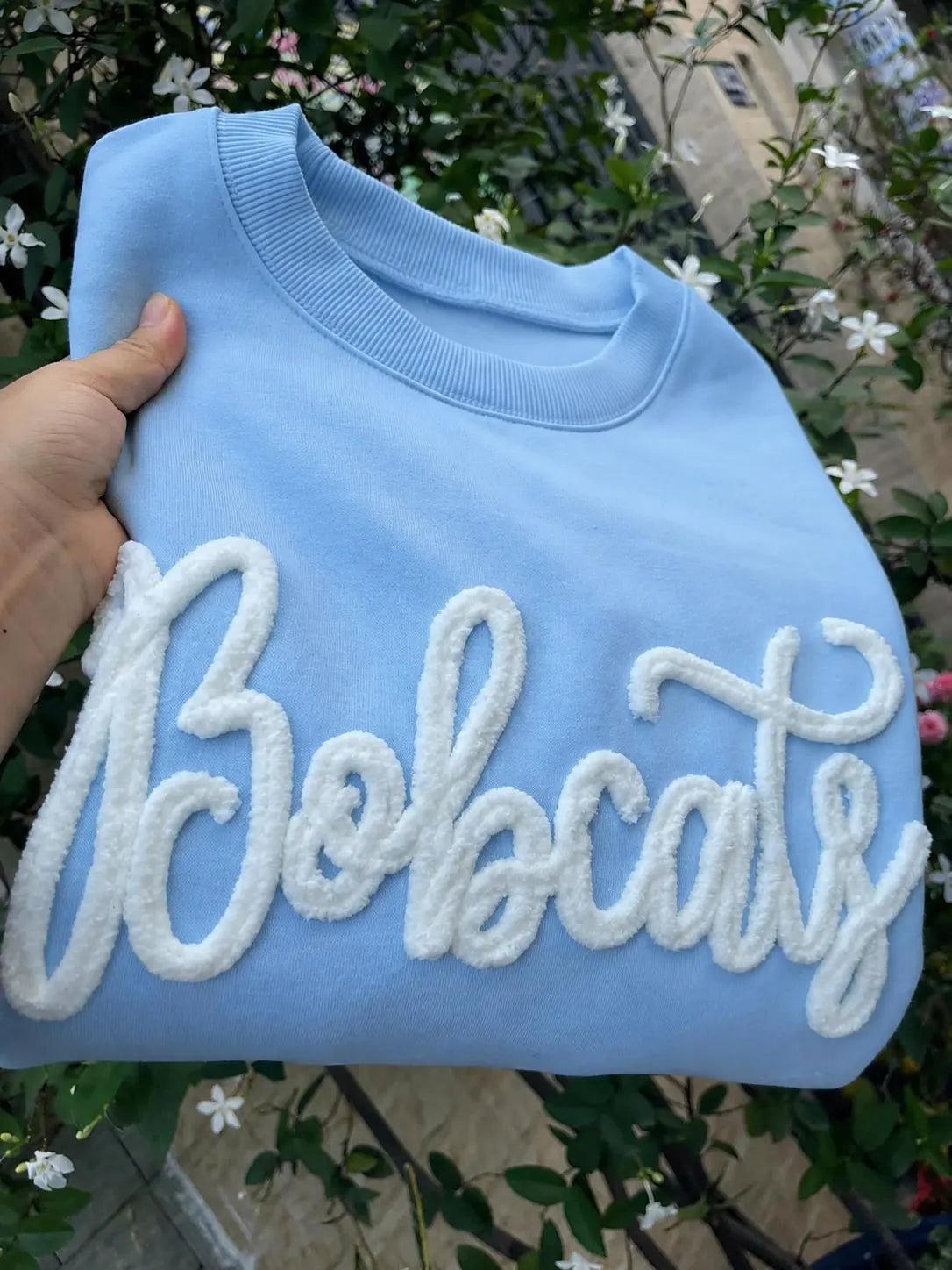Chenille Embroidered Sweatshirt, Custom Mascot Crewneck, Personalized School Color Pullover, Game Day Team Spirit Coach Gift