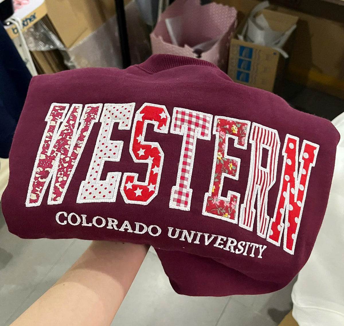 Patchwork Applique School Color Sweatshirt, Embroidered Varsity Letter Crewneck, Personalized College Style Student Gift