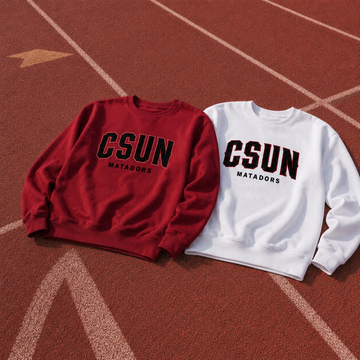 Stadium Outfit Sweatshirt, Custom Team Color Crewneck, School Spirit Applique Pullover, Tailgate Game Day Gift