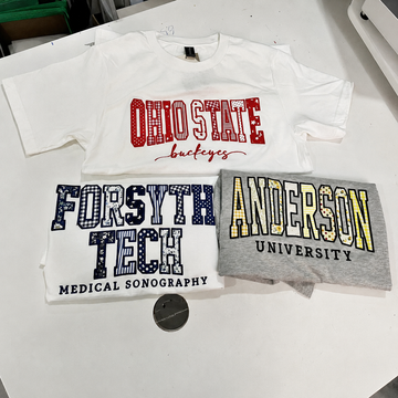 Custom Embroidered School Spirit T Shirt, Personalized Varsity Applique Tee, College Team Shirt, Custom Mascot Student Gift