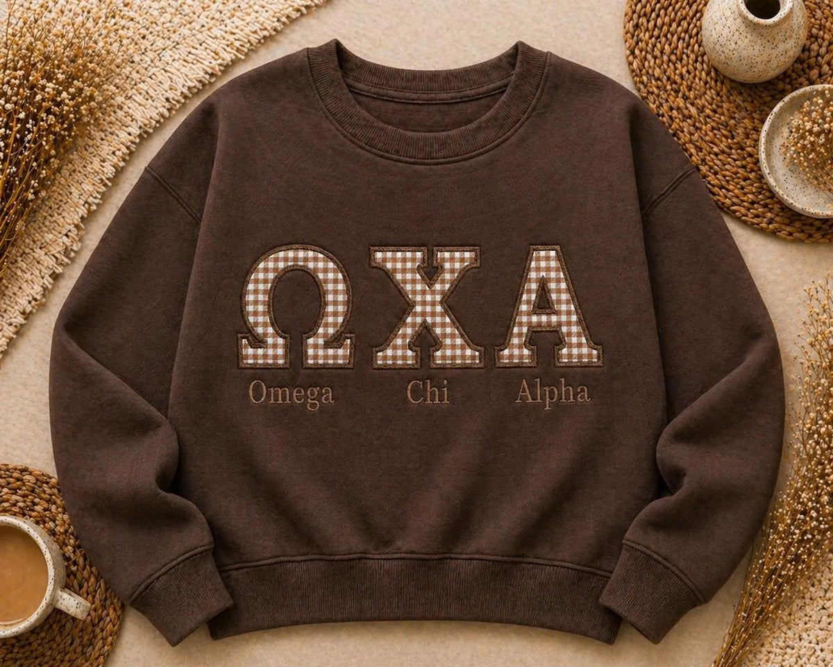 Custom Team Greek Letter Embroidered Sweatshirt,Personalized Gingham Applique Crewneck, Neutral Varsity College Pullover,Sorority Merch Gift