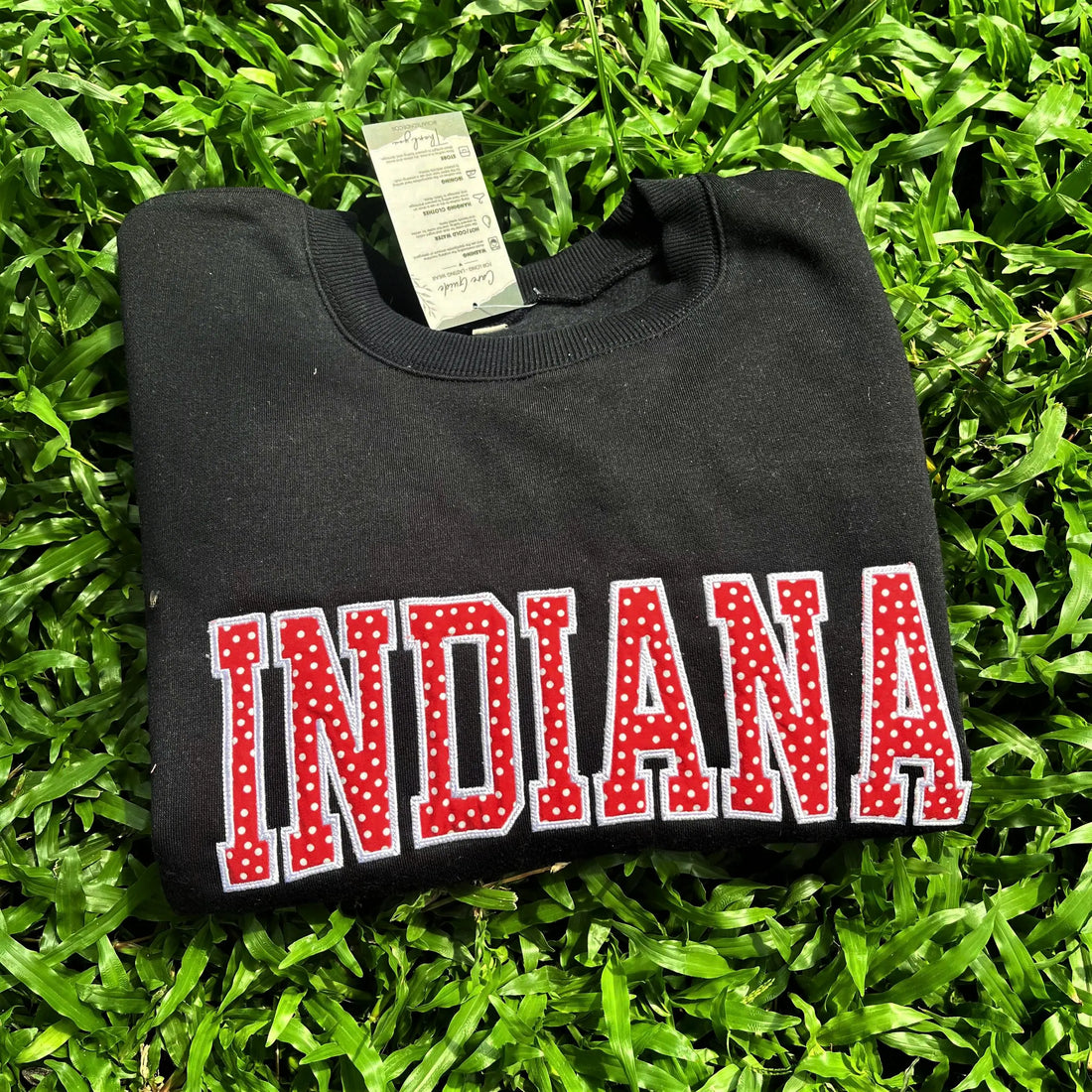 Custom Embroidered Polka Dot Applique Sweatshirt, Personalized Mascot Name Crewneck, Varsity Team Pride Campus Merch Gift
