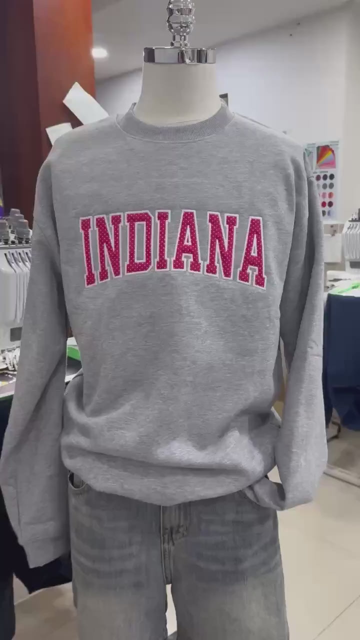 Custom Embroidered Sweatshirt, Polka Dot Applique Crewneck,Personalized College Style Pullover, Cozy State Pride Merch GiftInspired Top